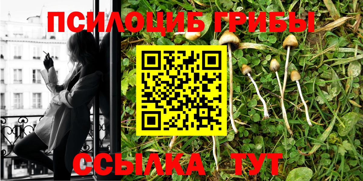 даркнет сайт  Вход с VPN  Кондопога  Псилоцибиновые грибы Magic Shrooms 