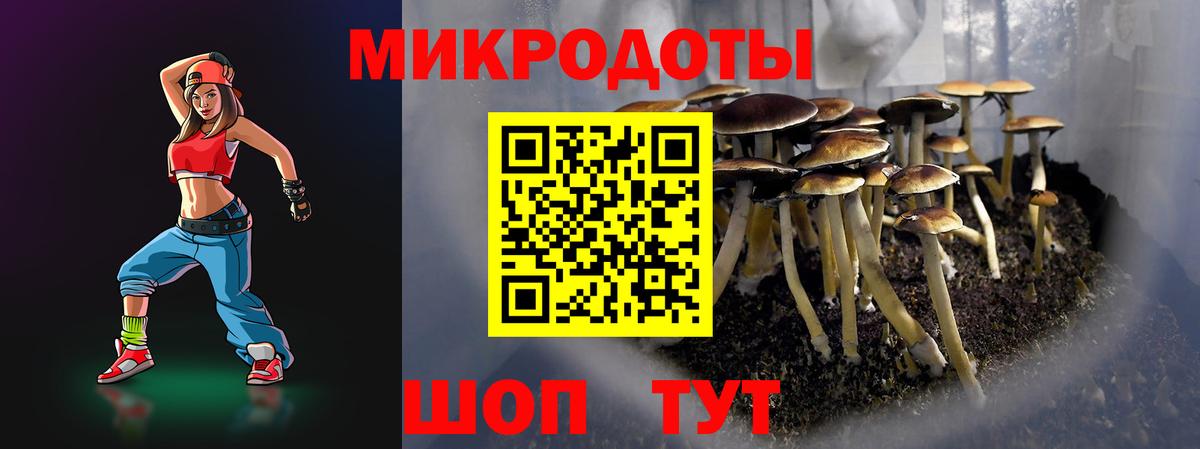 Псилоцибиновые грибы мицелий Кондопога